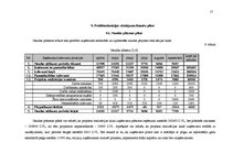 Referāts 'Uzņēmuma SIA "X" struktūras reorganizācijas plāns', 17.