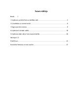 Prakses atskaite 'Kvalifikācijas prakse komercdarbībā un uzņēmuma vadībā  SIA "Euroindex"', 2.