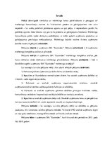 Prakses atskaite 'Kvalifikācijas prakse komercdarbībā un uzņēmuma vadībā  SIA "Euroindex"', 3.