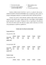 Prakses atskaite 'Kvalifikācijas prakse komercdarbībā un uzņēmuma vadībā  SIA "Euroindex"', 13.