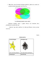 Prakses atskaite 'Kvalifikācijas prakse komercdarbībā un uzņēmuma vadībā  SIA "Euroindex"', 16.