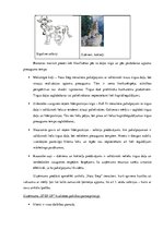 Prakses atskaite 'Kvalifikācijas prakse komercdarbībā un uzņēmuma vadībā  SIA "Euroindex"', 17.