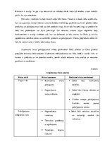 Prakses atskaite 'Kvalifikācijas prakse komercdarbībā un uzņēmuma vadībā  SIA "Euroindex"', 21.