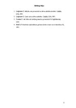 Referāts 'Labvēlīgas mācību vides veidošana pirmsskolā', 11.