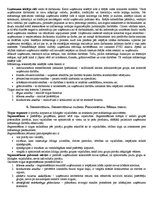 Konspekts 'Tirgzinības', 7.