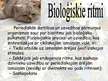 Prezentācija 'Bioloģiskie ritmi', 3.