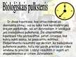 Prezentācija 'Bioloģiskie ritmi', 8.