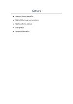 Referāts 'Mārtiņš Zīverts', 1.