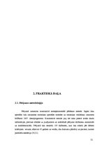 Referāts 'Geriatrisko pacientu pirmsanestēzijas aprūpe', 22.