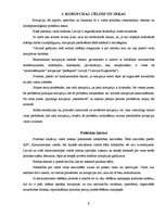 Referāts 'Korupcija un tās novēršana', 9.