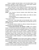 Referāts 'Korupcija un tās novēršana', 13.