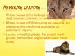 Prezentācija 'Āfrika', 8.