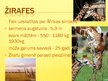 Prezentācija 'Āfrika', 10.