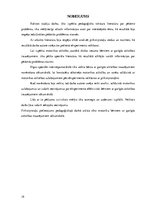 Paraugs 'Pirkstiņrotaļu pielietojums sīkās motorikas attīstīšanā bērniem ar garīgās attīs', 19.