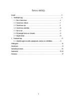 Referāts 'Datorvīrusi', 2.