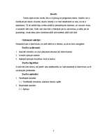 Referāts 'Datorvīrusi', 3.