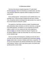 Referāts 'Datorvīrusi', 5.