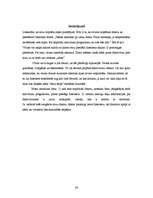 Referāts 'Datorvīrusi', 24.