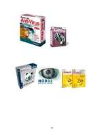 Referāts 'Datorvīrusi', 30.