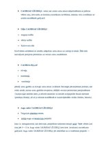 Referāts 'Caurejas līdzekļi', 2.