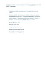 Referāts 'Caurejas līdzekļi', 3.