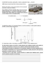 Paraugs 'Aritmētiskie aprēķini un grafiku analīze', 3.