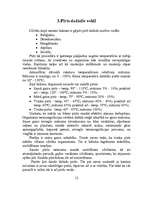 Referāts 'Ilūkstiešu pirts tradīcijas', 13.