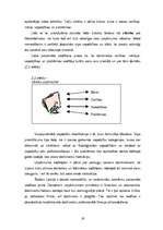 Diplomdarbs 'Personālvadības optimizācijas iespējas uzņēmumā "Nelda"', 19.