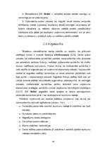 Diplomdarbs 'Personālvadības optimizācijas iespējas uzņēmumā "Nelda"', 44.