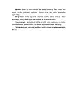 Referāts 'Jaunā darbinieka adaptācijas process organizācijā', 9.