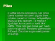 Prezentācija 'Pīles', 2.