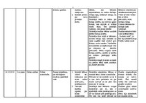 Prakses atskaite 'Aktīvās mācību un audzināšanas prakses sākumskolā atskaite', 8.