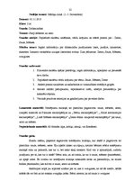 Prakses atskaite 'Aktīvās mācību un audzināšanas prakses sākumskolā atskaite', 22.