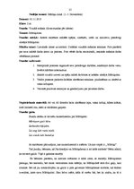 Prakses atskaite 'Aktīvās mācību un audzināšanas prakses sākumskolā atskaite', 25.