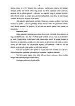 Prakses atskaite 'Aktīvās mācību un audzināšanas prakses sākumskolā atskaite', 29.