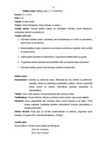 Prakses atskaite 'Aktīvās mācību un audzināšanas prakses sākumskolā atskaite', 31.