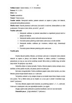 Prakses atskaite 'Aktīvās mācību un audzināšanas prakses sākumskolā atskaite', 48.