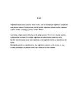 Eseja 'Veģetārisma mijiedarbība ar dažādām cilvēka dzīves sfērām', 3.