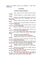 Paraugs 'Filosofijas tests', 1.