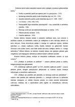 Diplomdarbs 'Akciju sabiedrības "Valmieras stikla šķiedra" debitoru un kreditoru audits un an', 15.