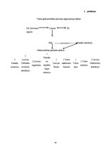 Diplomdarbs 'Akciju sabiedrības "Valmieras stikla šķiedra" debitoru un kreditoru audits un an', 69.
