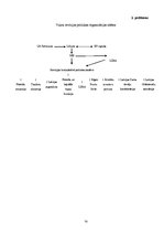 Diplomdarbs 'Akciju sabiedrības "Valmieras stikla šķiedra" debitoru un kreditoru audits un an', 70.