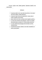 Referāts 'Brīvā laika organizēšana pirmsskolā. Aktivitātes dabā', 8.