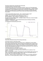 Konspekts 'Asinsrites principi. Sirds darbība', 3.
