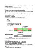 Konspekts 'Asinsrites principi. Sirds darbība', 4.