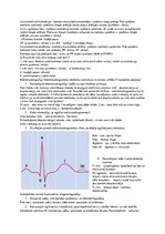Konspekts 'Asinsrites principi. Sirds darbība', 5.