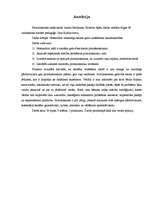 Referāts 'Pirmklasnieks ienāk skolā', 3.