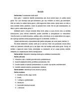 Referāts 'Pirmklasnieks ienāk skolā', 5.