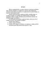 Referāts 'Ieskaites darbs mazajā biznesā', 3.