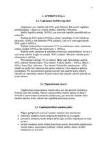 Referāts 'Ieskaites darbs mazajā biznesā', 8.